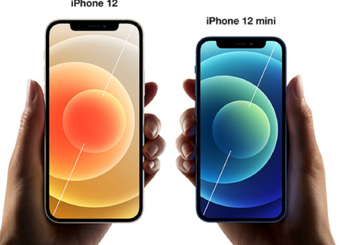 Diskon iBox Februari 2023: iPhone 12 Banting Harga Lebih Murah, Cek di Sini