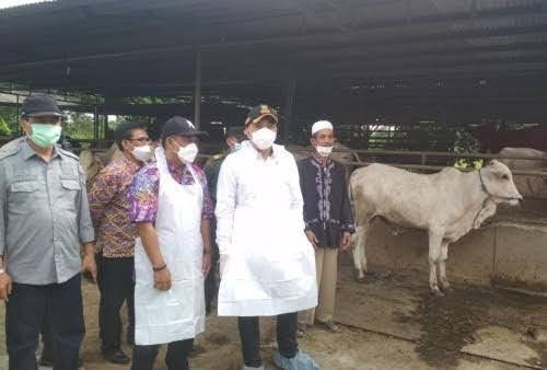 58 Ribu Ternak di Tangerang Bakal Divaksin PMK, DPKP: Vaksinasi Dosis Lengkap Sampai Booster