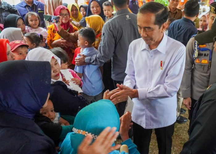 Pengamat Sebut Jabatan Jokowi Berakhir dengan Happy Ending, Berbeda dengan Presiden Sebelumnya