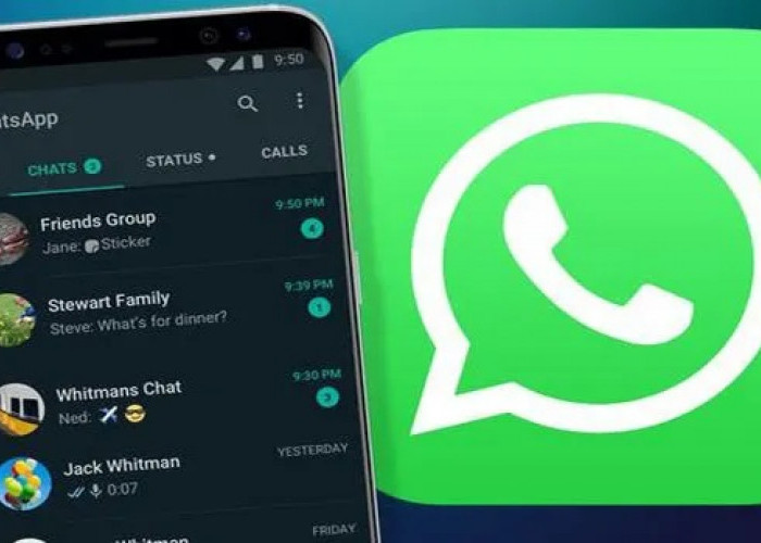 Sadap WA Secara Mudah Tanpa Harus Log In Dengan Aplikasi Social Spy WhatsApp, it Works!