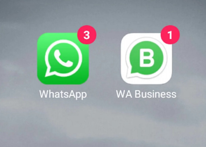 3 Cara Menggunakan 2 Akun WhatsApp dalam 1 HP, Ternyata Mudah Sekali