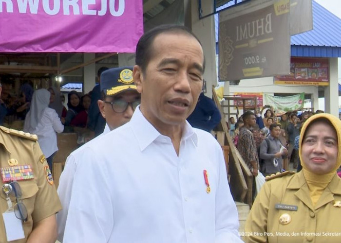 Harga Cabai Masih Mahal, Jokowi Ajak Warga Tanam di Pekarangan Rumah Masing-Masing