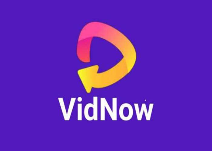 Link Download VidNow Apk Terbaru, Nonton Video Dapat Uang Gratis!
