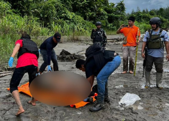 5 Anggota KKB Papua Tewas Usai Baku Tembak dengan TNI di Tepi Sungai