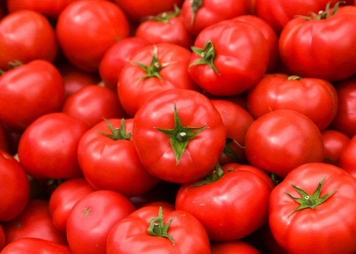 Manfaat Tomat untuk Kesehatan, Lawan Radikal Bebas dan Lindungi dari Bakteri Jahat