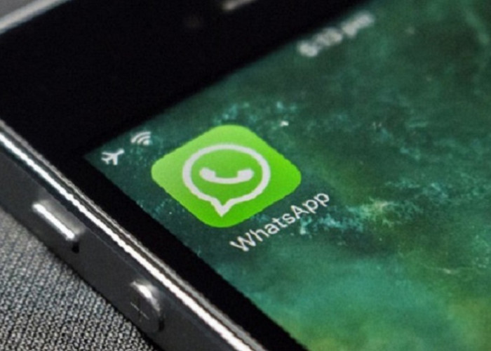 Link Grup WhatsApp (WA) Cari Pacar Terbaru, Cara Gabung Simak di Sini!