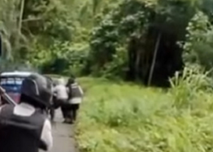 KKB Papua Tembaki Aparat Saat Evakuasi 2 Jenazah Anggota TNI-Polri yang Gugur
