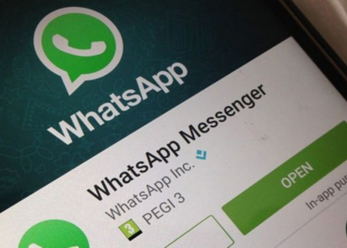 5 Cara Mudah Mengembalikan Kontak WhatsApp yang Hilang