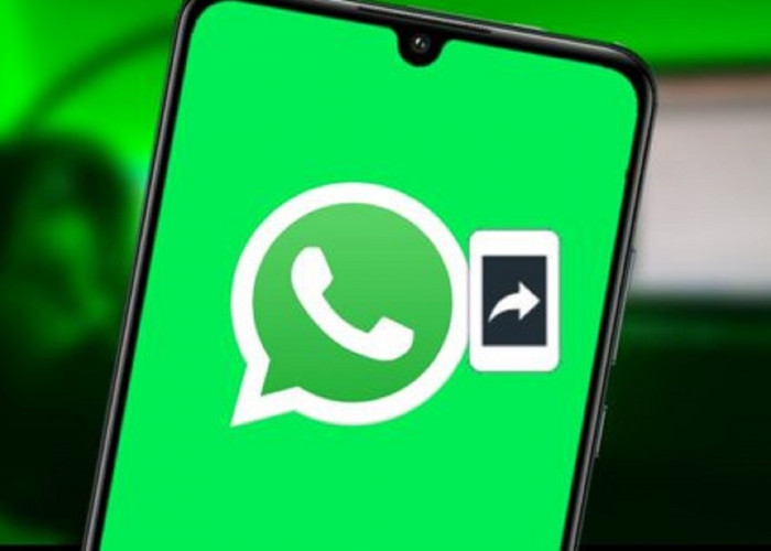 Download GB WhatsApp Pro Apk Terbaru Anti Kedaluarsa: WA GB dengan Fitur Paling Modern, Klik Linknya