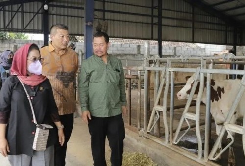 Cegah Wabah PMK, Ketua Dekopin Salurkan 300 Vaksin untuk Peternakan di Malang