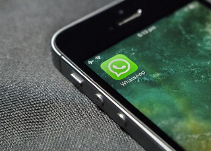Cara Menghilangkan Tanda Online di WhatsApp, Mudah, Nih Langkahnya