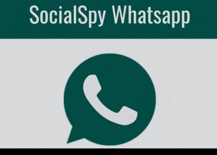 Cara Login Social Spy WhatsApp 2023 Untuk Sadap Isi WhatsApp Pasangan, Download di Sini!