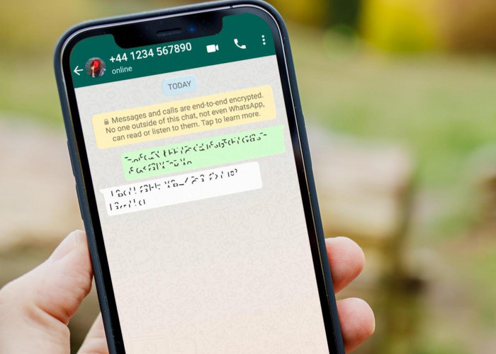 Cara Mudah Membersihkan Riwayat Chat Whatsapp di HP, Gak Perlu Aplikasi Lain!