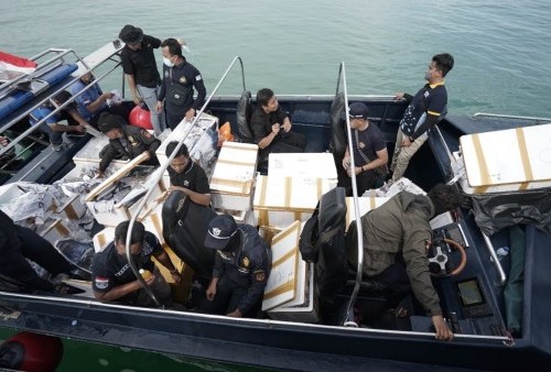 Bea Cukai Kepri Gagalkan Penyelundupan Benih Lobster Senilai Rp14 Miliar