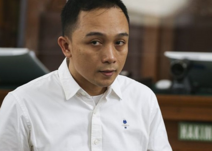 Banding Ditolak Pengadilan Tinggi DKI Jakarta, Ricky Rizal Resmi Ajukan Kasasi 