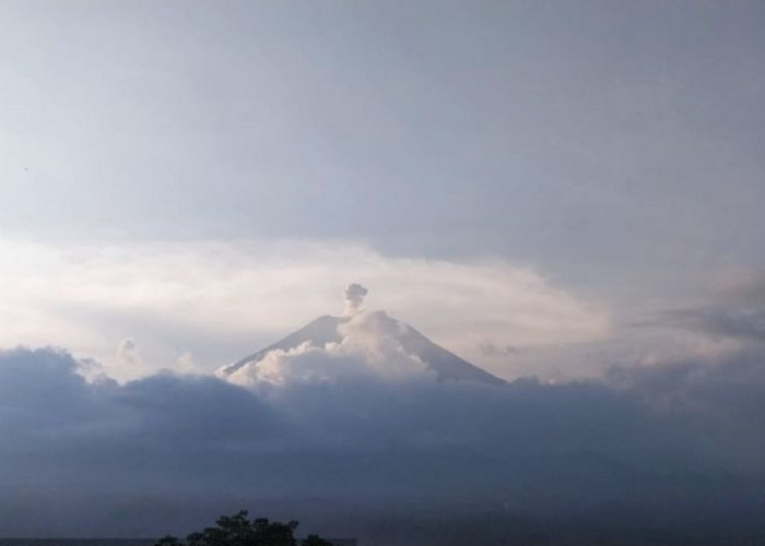 Gunung Semeru Kembali Erupsi, Letusan Setinggi 700 Meter