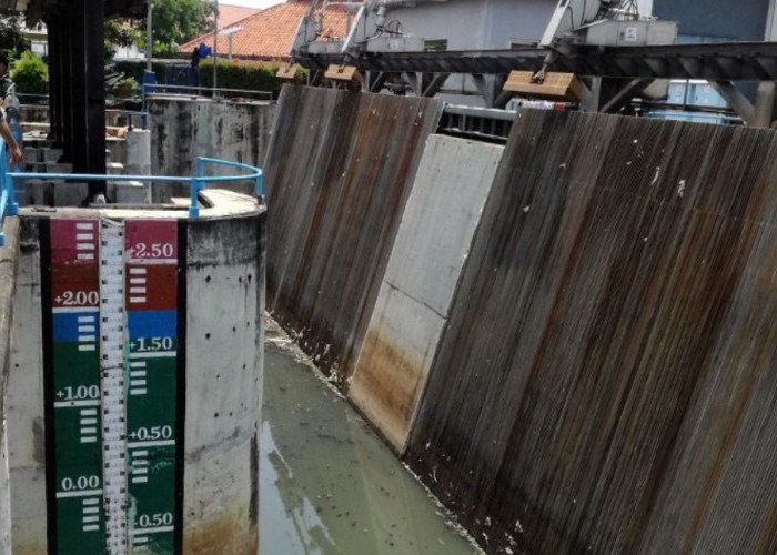Pintu Air Pasar Ikan di Panjaringan Jakut Berstatus Siaga 1, Air Laut Makin Naik