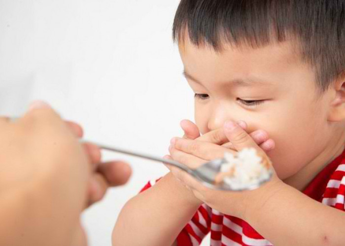 Kenali Dampak Masalah Makan Terhadap Tumbuh Kembang Anak