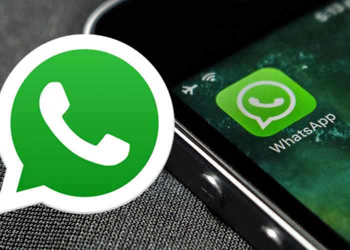 Download WhatsApp GB Pro APK v.21.20 Terbaru 2023 Gratis dan Aman, Simak Kelebihannya di Sini