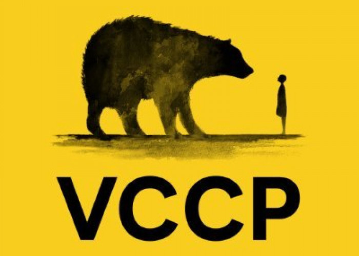 Laporan VCCP: Scam yang Kembali Menelan Korban! Berikut Tips Agar Mencegah Penipuan