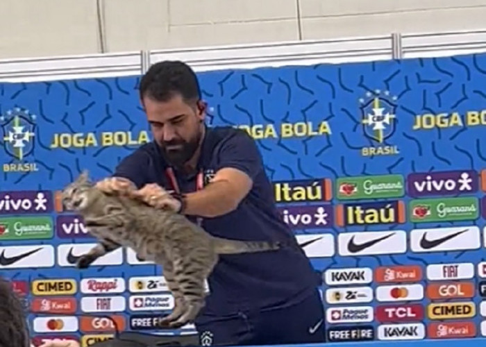 Kekalahan Brasil Atas Kroasia di Piala Dunia 2022 Gegara Buang Kucing saat Konferensi Pers?