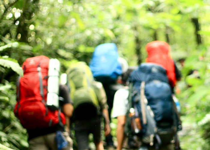 15 Pendaki yang Akan Menaiki Gunung Singgalang Diamankan BKSDA