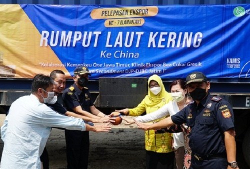 Berkolaborasi dengan Kemenkeu One Jawa Timur, Bea Cukai Fasilitasi Ekspor Rumput Laut ke Cina