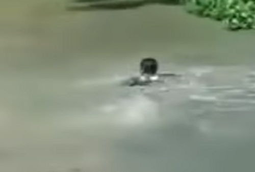 Apes! Ketahuan Mencuri, Maling Motor Nyemplung ke Sungai Lalu Dihujani Batu Oleh Warga
