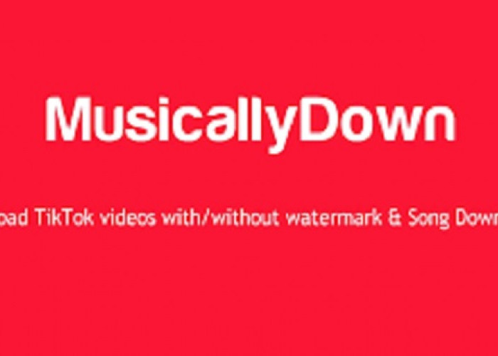 Cara Download MP3 Legal Dari TikTok Tanpa MusicallyDown, Bahkan Bisa Dapat Cuan