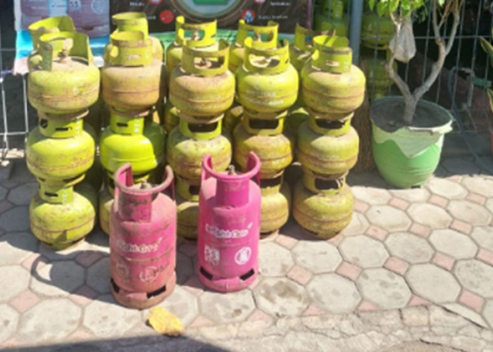 Gas LPG 3Kg atau Gas Melon Langka di Lampung, Begini Penjelasan Pertamina