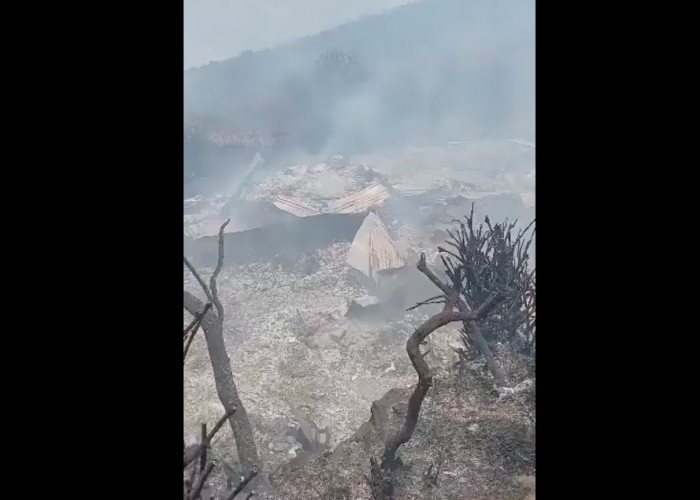 Kebakaran Hutan Gunung Lawu Hanguskan Warung Mbok Yem, Ini Fakta-Fakta yang Terungkap
