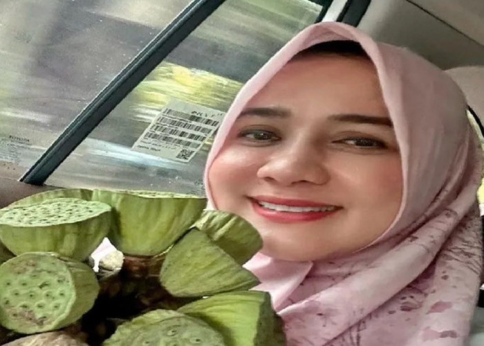 Raup 97.668 Suara, Istri Mantan Gubernur Aceh Duduki Posisi Dua DPD RI