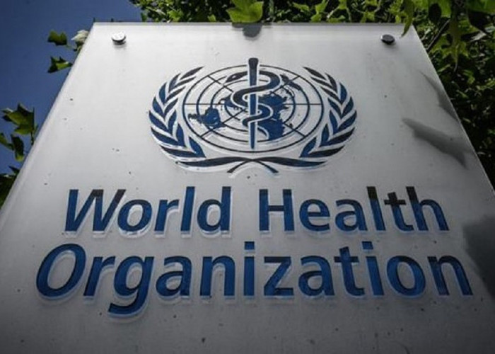 Organisasi WHO Peringatkan Bahaya Penyakit X yang Akan Mengancam Kesehatan