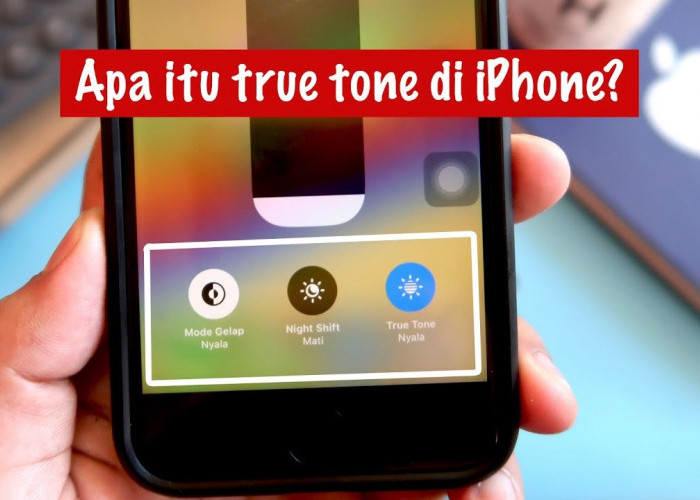 Pengertian True Tone iPhone X dan Bagaimana Cara Kerjanya