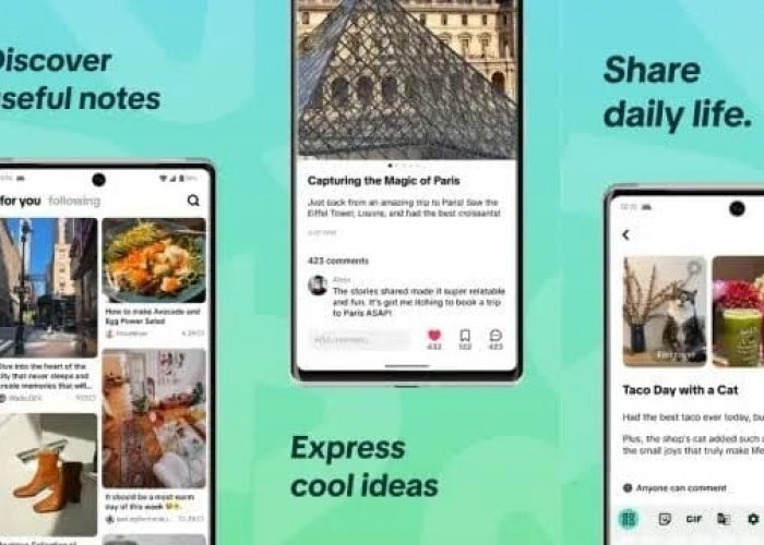TikTok Notes, Aplikasi Baru Mirip Instagram yang Bisa Didownload Melalui Play Store dan App Store