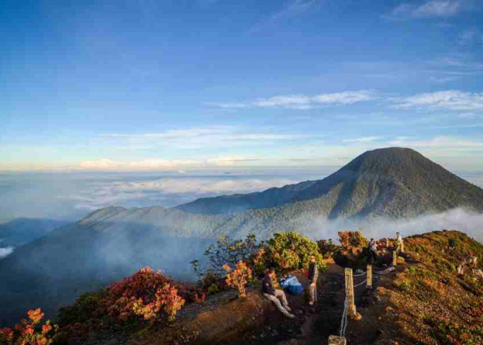 3 Rekomendasi Gunung untuk Pemula di Jawa Barat dan Jawa Tengah