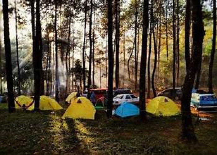5 Rekomendasi Tempat Camping Keren di Malang, Nikmati Aktivitas Outdoor