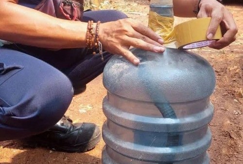 Petugas Damkar Kota Bekasi Evakuasi Ular Kobra Berukuran 1 Meter Dari Kontrakan Kosong di Jatisampurna