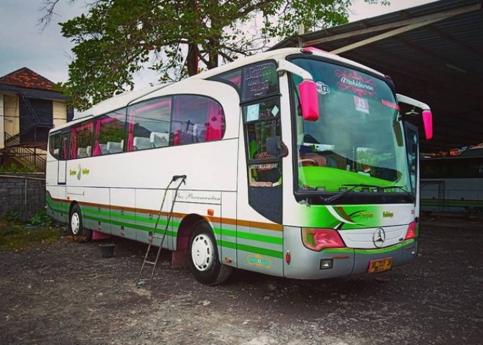 Ini Pelopor Bus Klakson Telolet di Indonesia, Nomor 2 Paling Viral