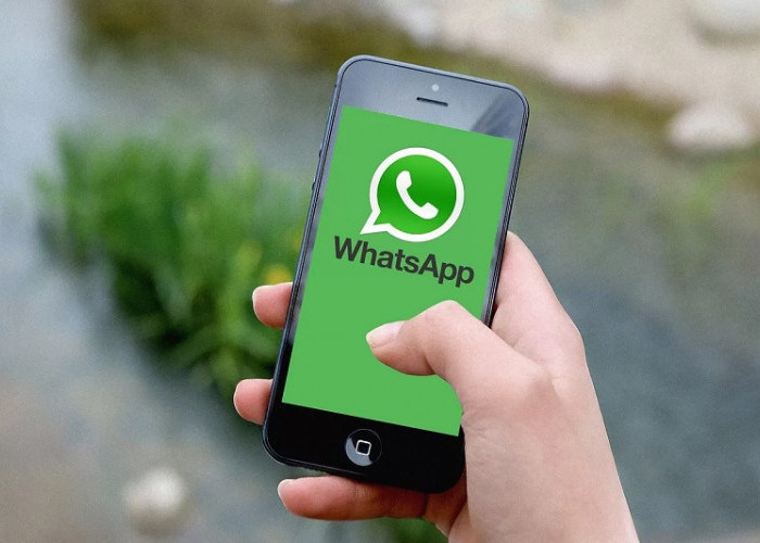 Download WhatsApp Beta for Android Terbaru Juni 2023 v2.23.12.13: Kapasitas File 80.9 MB Gratis! 
