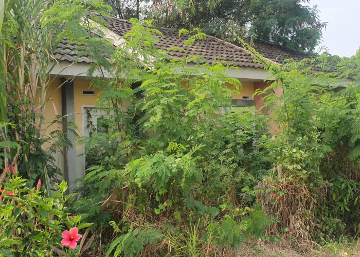 Hancur Terbengkalai, Rumah Subsidi Pemerintah di Bekasi Ternyata Dekat Fasilitas Umum