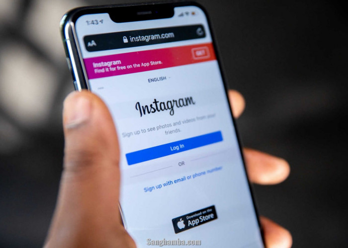 Tutorial Mudah Download Video Reels Instagram Tanpa Aplikasi