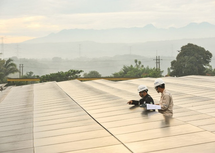 PLN Gandeng Pupuk Indonesia Buka Peluang Kerja Sama Transisi Energi dan Green Industry Cluster