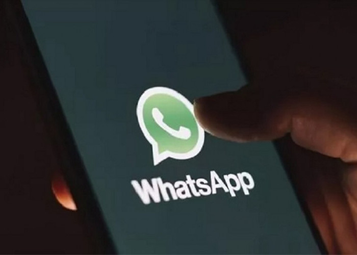 Link Download Royal WhatsApp Terbaru 2023, WA Mod Apk Diklaim Anti Banned!
