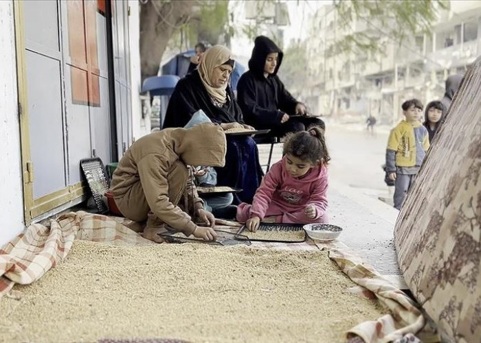 Kelaparan Melanda, Warga Gaza Makan Pakan Hewan untuk Bertahan Hidup