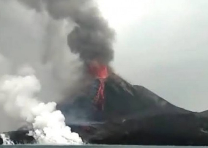 Pagi Ini Gunung Anak Krakatau Kembali Erupsi Setinggi 700 Meter, Masyarakat Diminta Tidak Mendekat