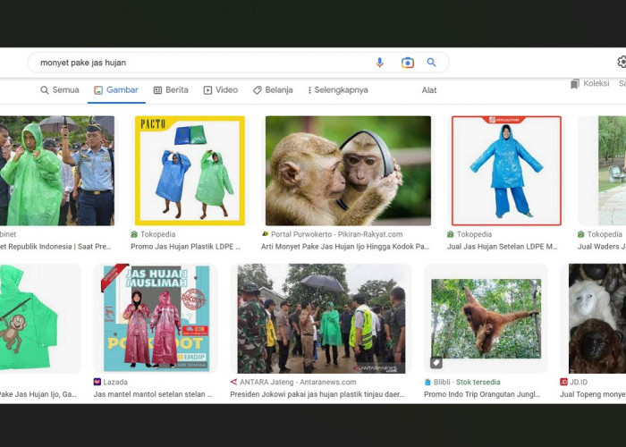 Ketik 'Monyet Pake Jas Hujan' di Google, Kok yang Muncul Foto Presiden Jokowi?