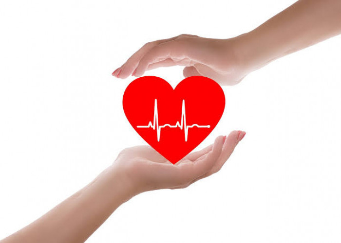 Cara Menjaga Kesehatan Jantung Agar Tetap Sehat