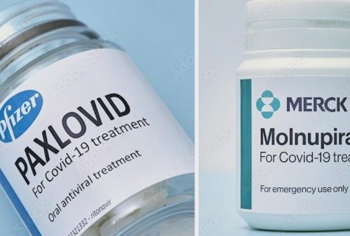 Anda Sedang Isolasi Mandiri? Jangan Khawatir, Konsumsi 2 Obat Antivirus Ini: Molnupiravir dan Paxlovid
