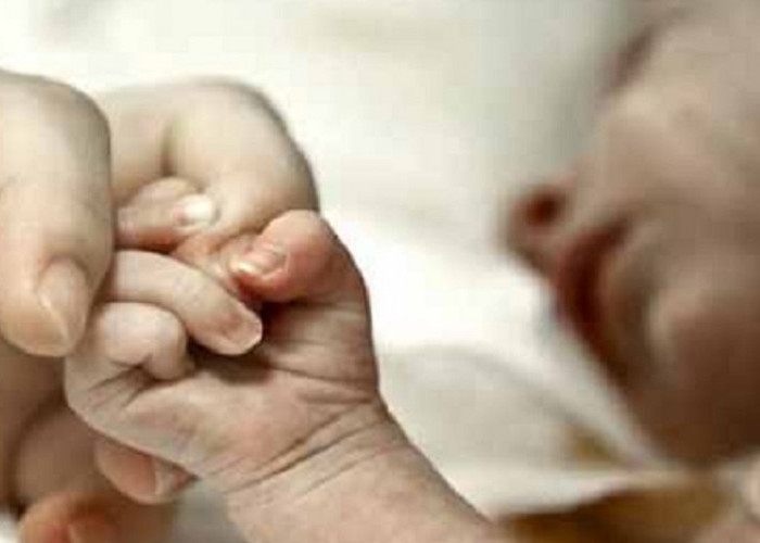 Fakta-Faktar Bayi 38 Hari Meninggal Dengar Punyi Petasan Daya Ledak hingga Pembulu Darah Pecah